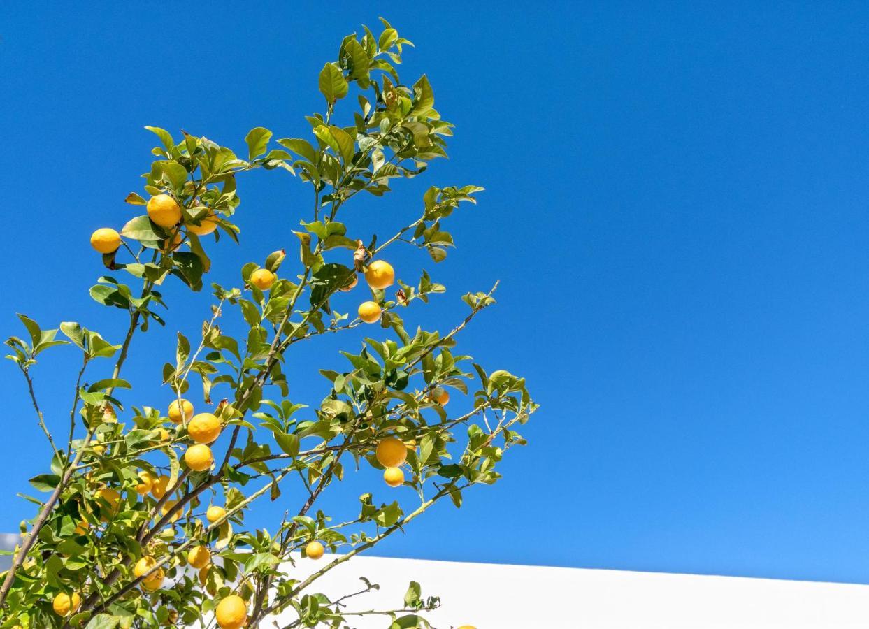 The Estate At Gold Dust Βίλα Σκότσντεϊλ Εξωτερικό φωτογραφία